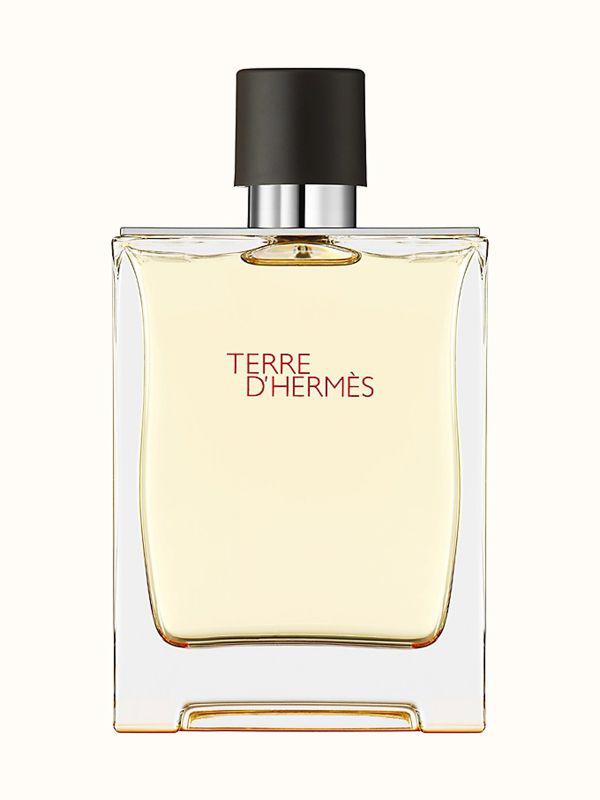 TERRE D'HERMÈS perfume EDT price online HERMÈS - Perfumes Club