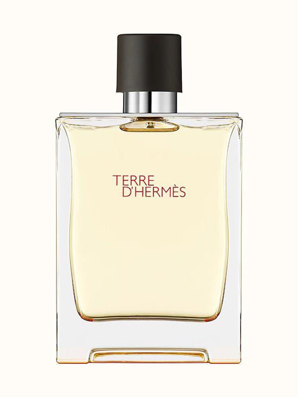 Hermes Terre D Hermes 100Ml